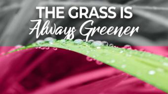 Tamra Oviatt - The Grass is Always Greener Activation